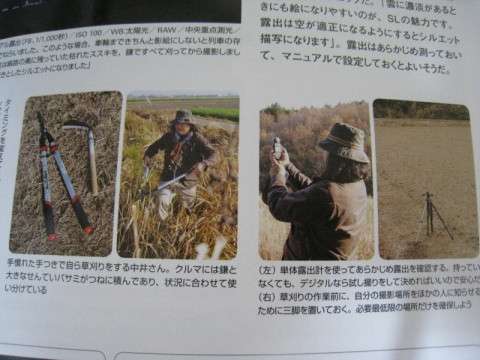 「うそでしょ、冗談でしょ…」私有地の木を勝手に切られる　撮り鉄が構図のために伐採か