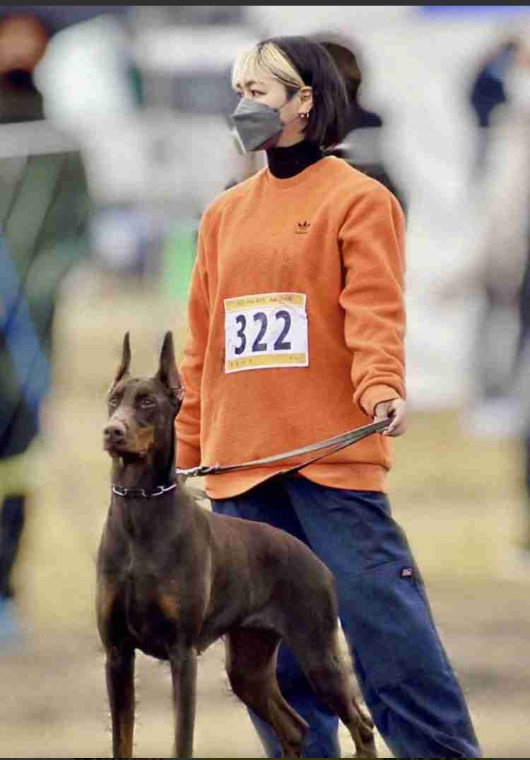 飼い犬のドーベルマンを盗み出す 動物愛護団体メンバーら 起訴内容認める 千葉・木更津市