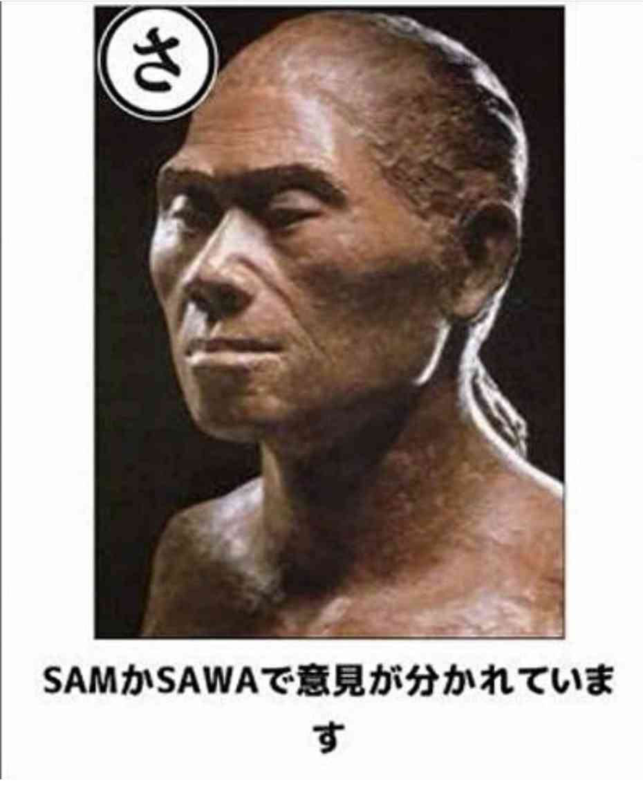自分に似た有名人の画像で挨拶するトピpart6