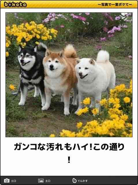 寝る前にクスッとする画像part3