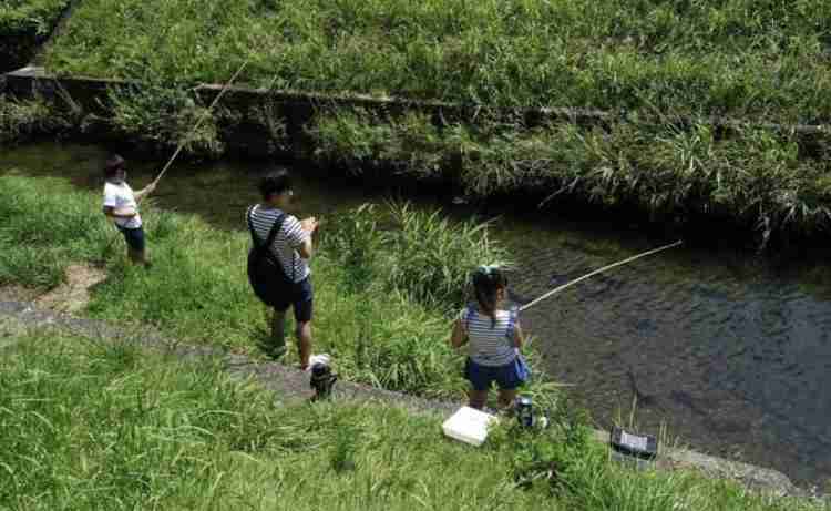 田舎に住んでる人の娯楽をあげるトピ