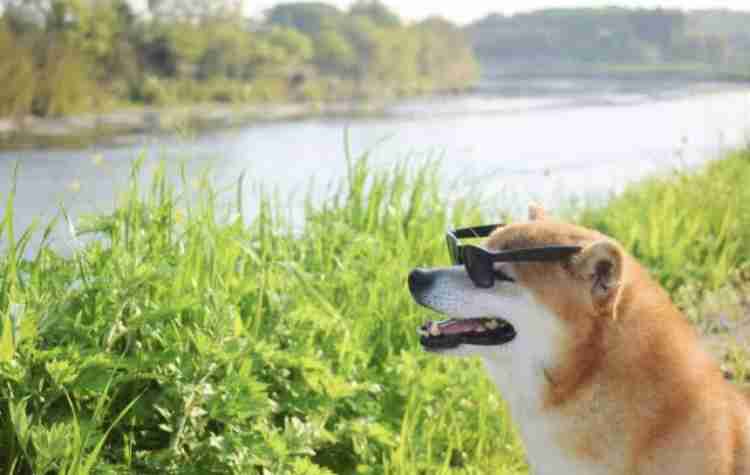田舎に住んでる人の娯楽をあげるトピ