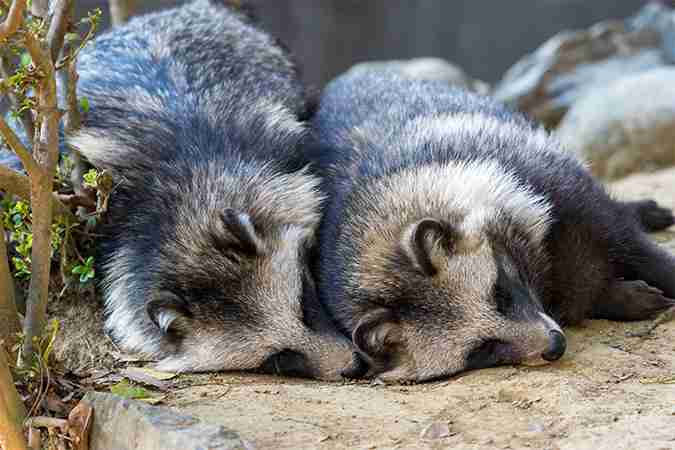 パワハラを訴えて何か変わりましたか？