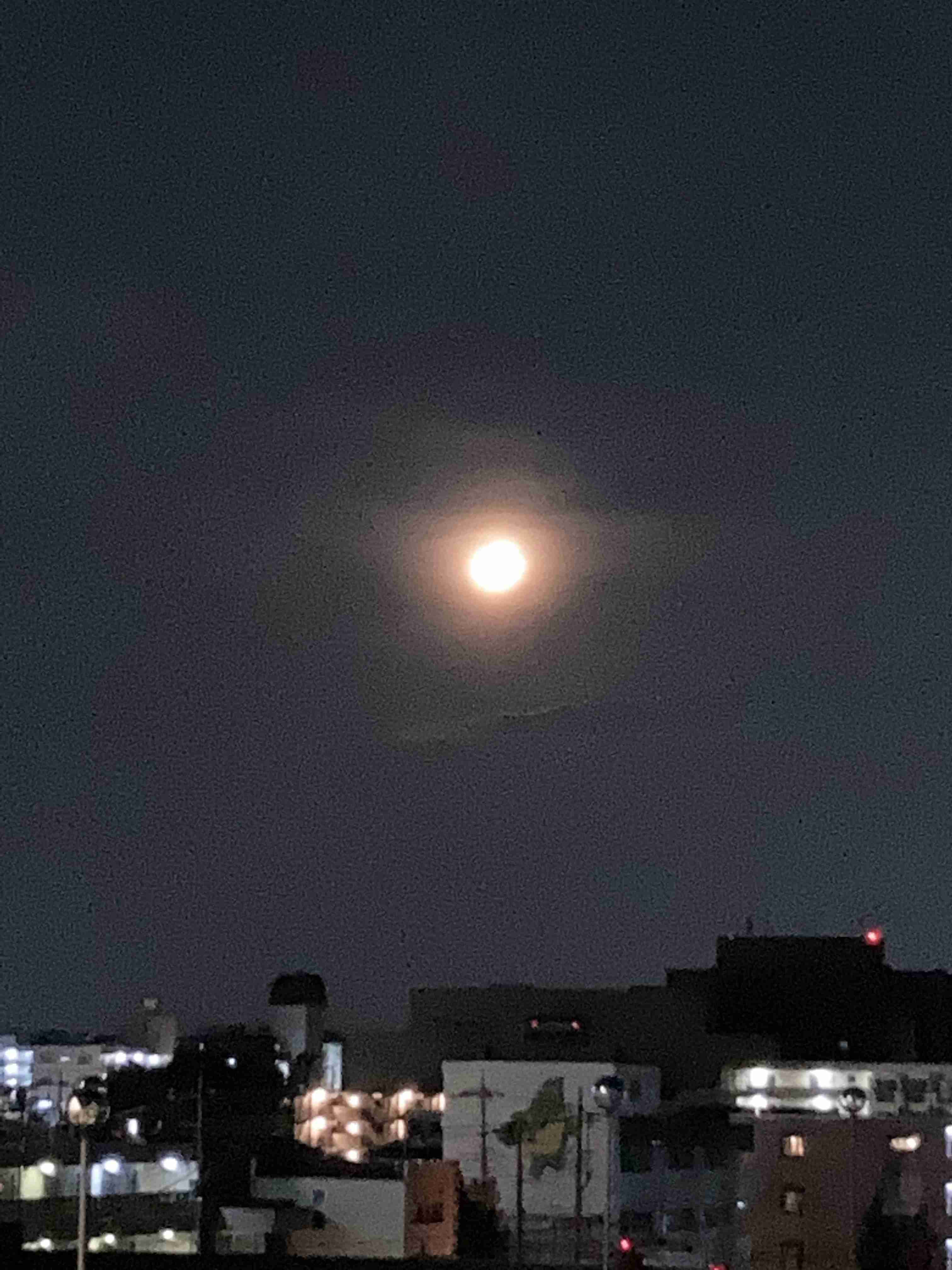 映えない写真選手権part2