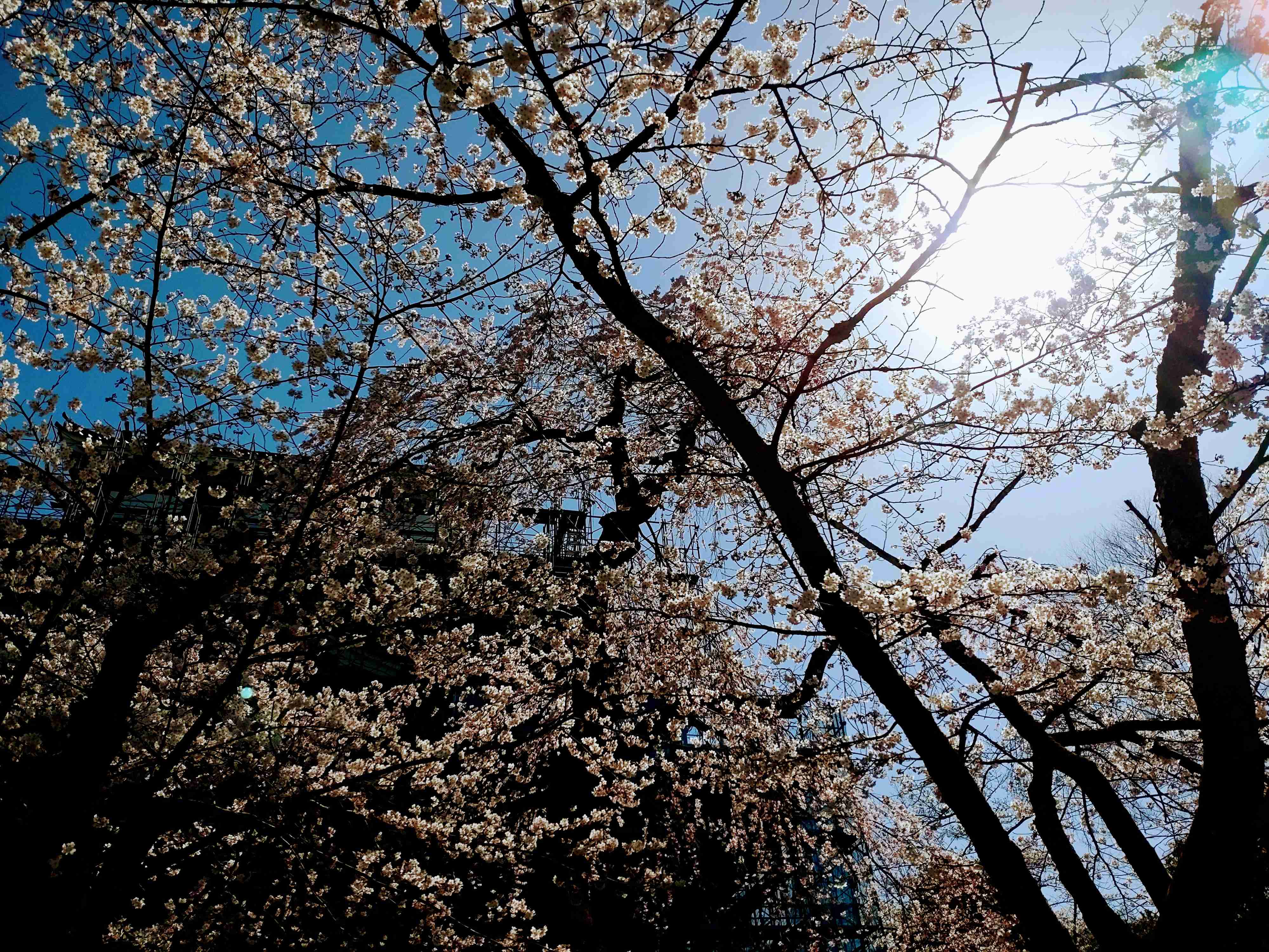 映えない写真選手権part2