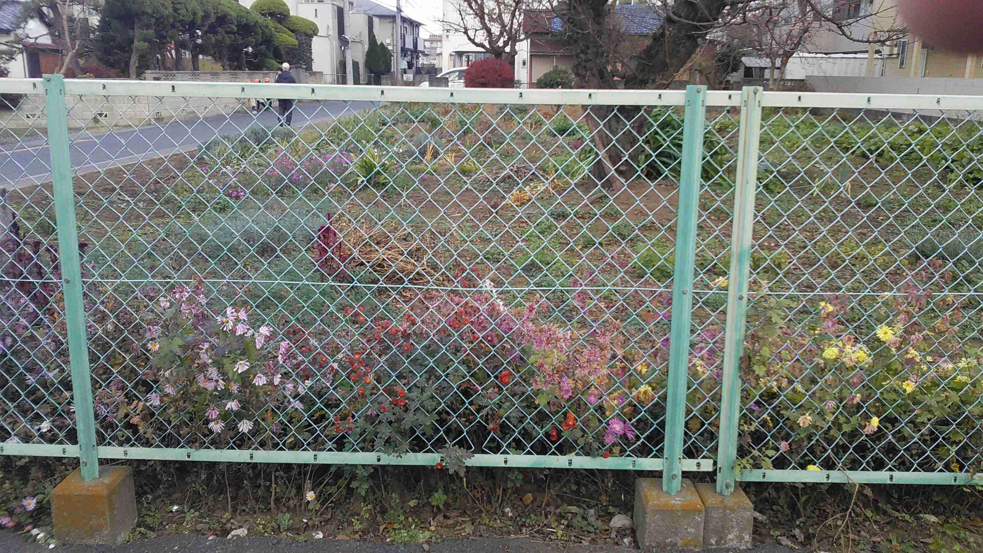 映えない写真選手権part2