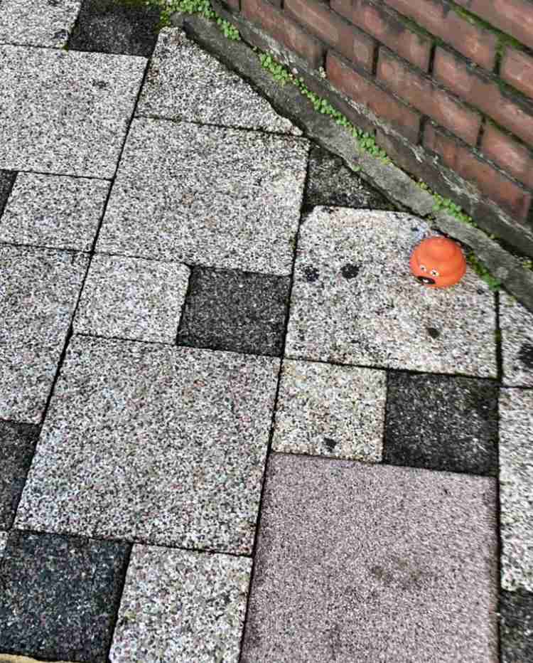 映えない写真選手権part2