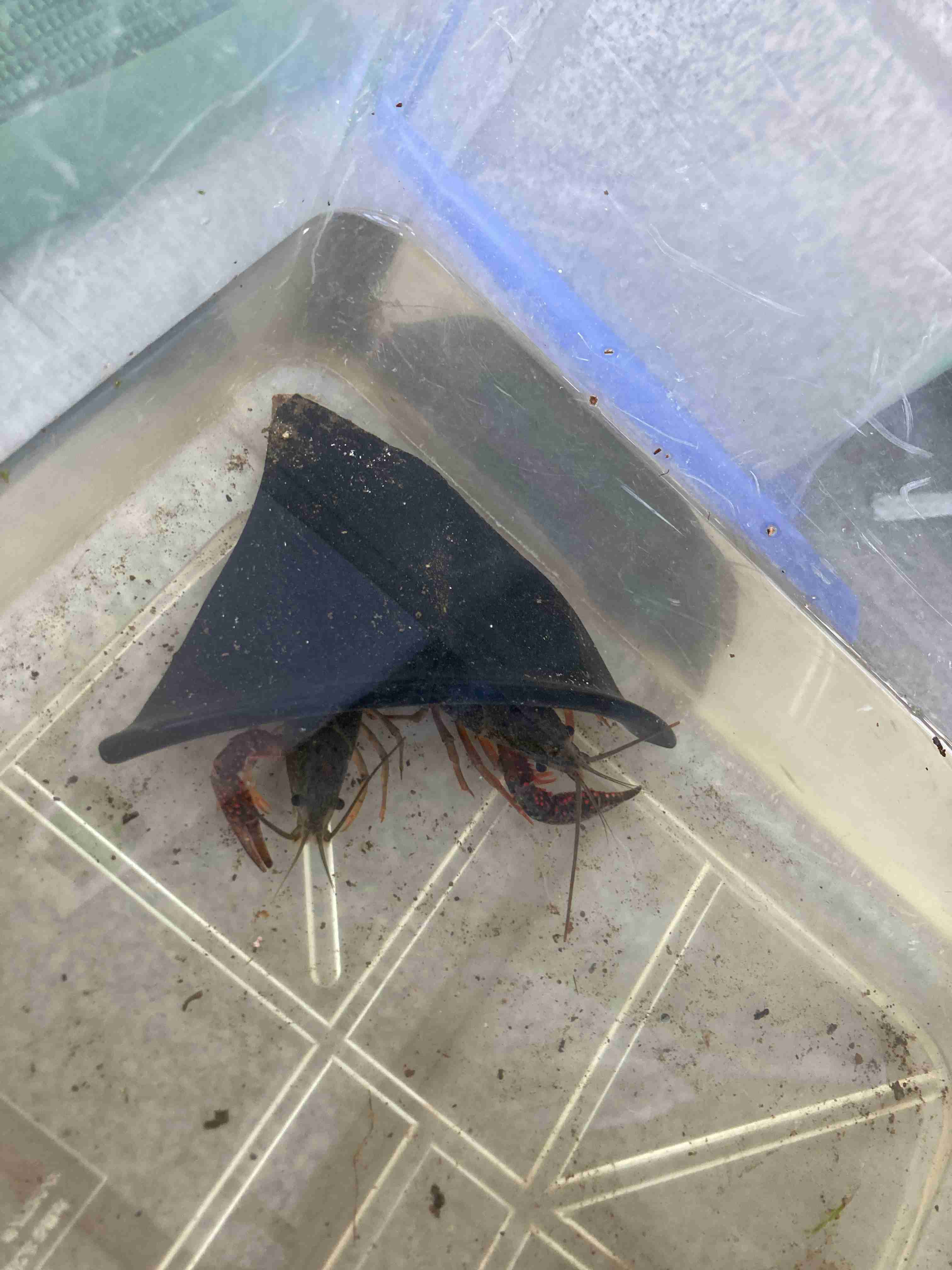 映えない写真選手権part2