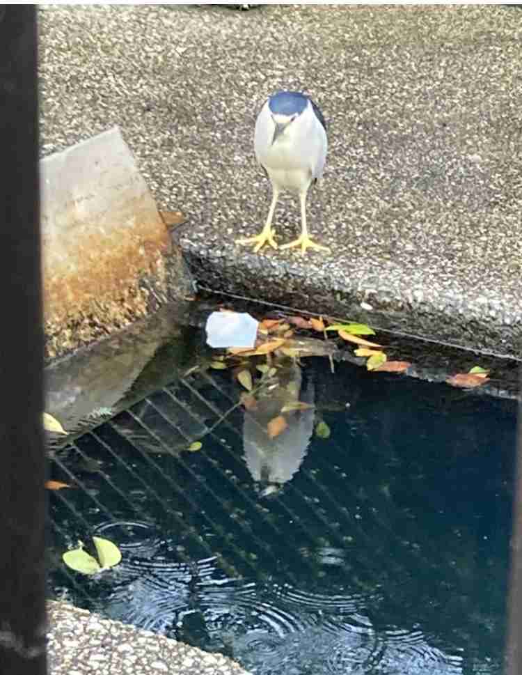 映えない写真選手権part2