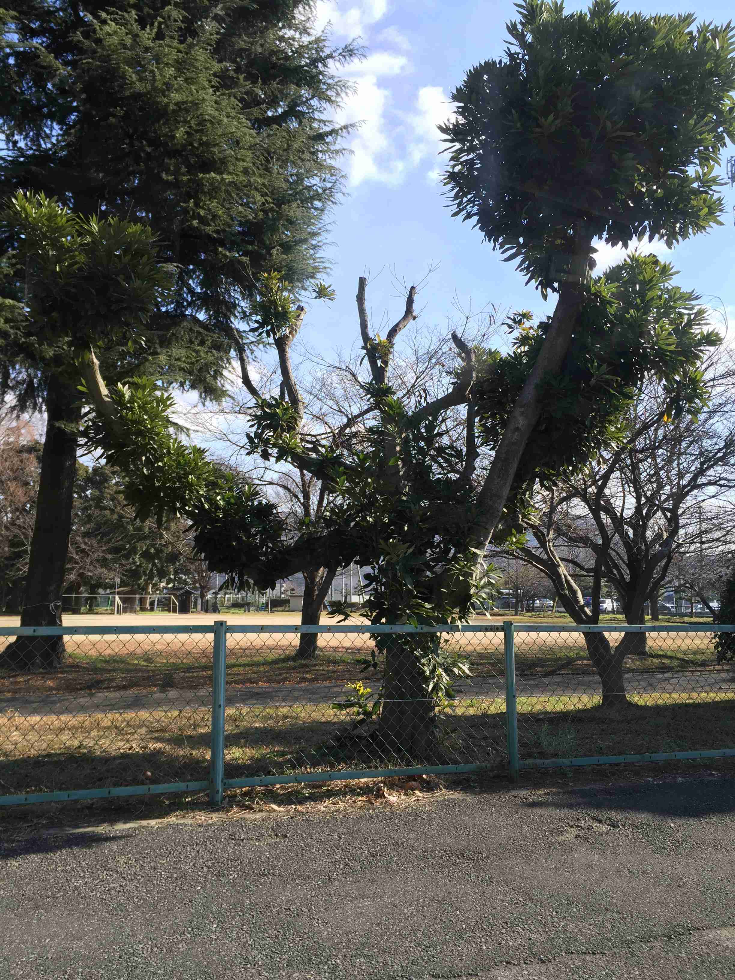 映えない写真選手権part2