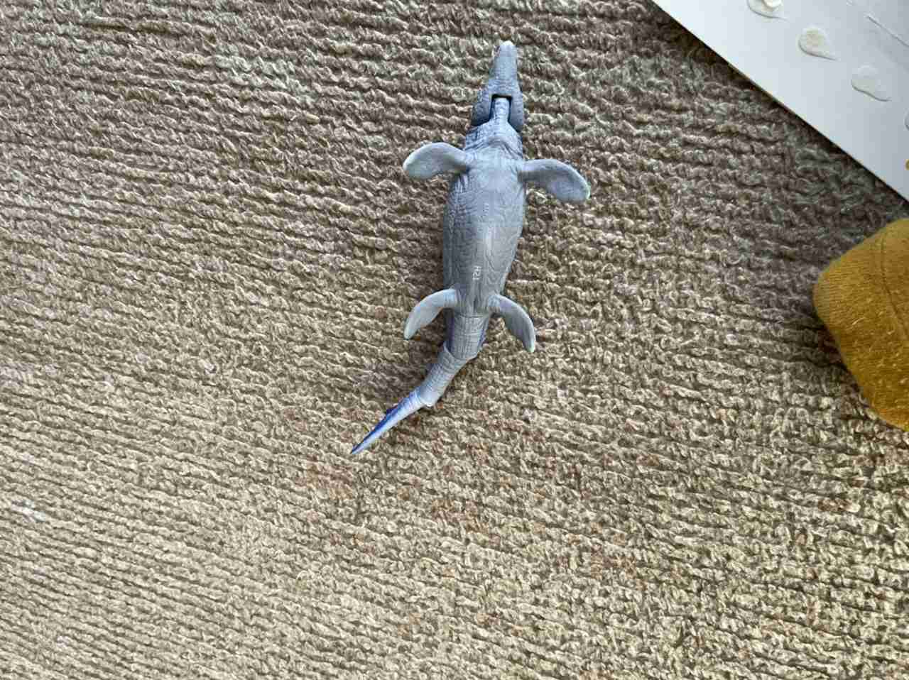 映えない写真選手権part2