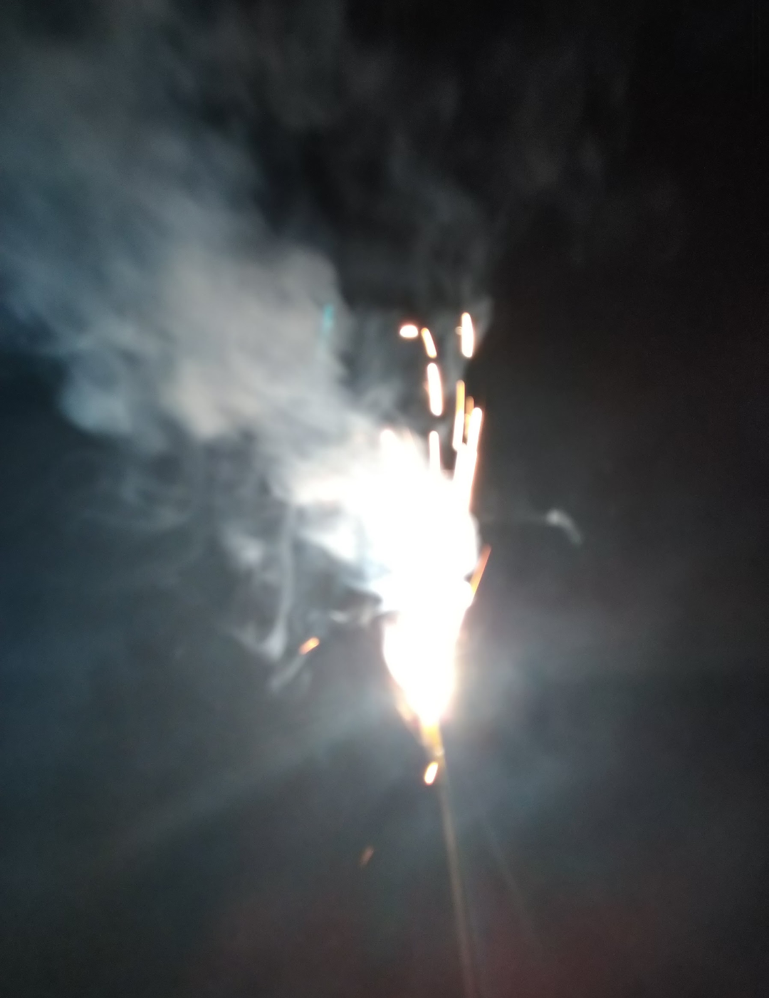 映えない写真選手権part2