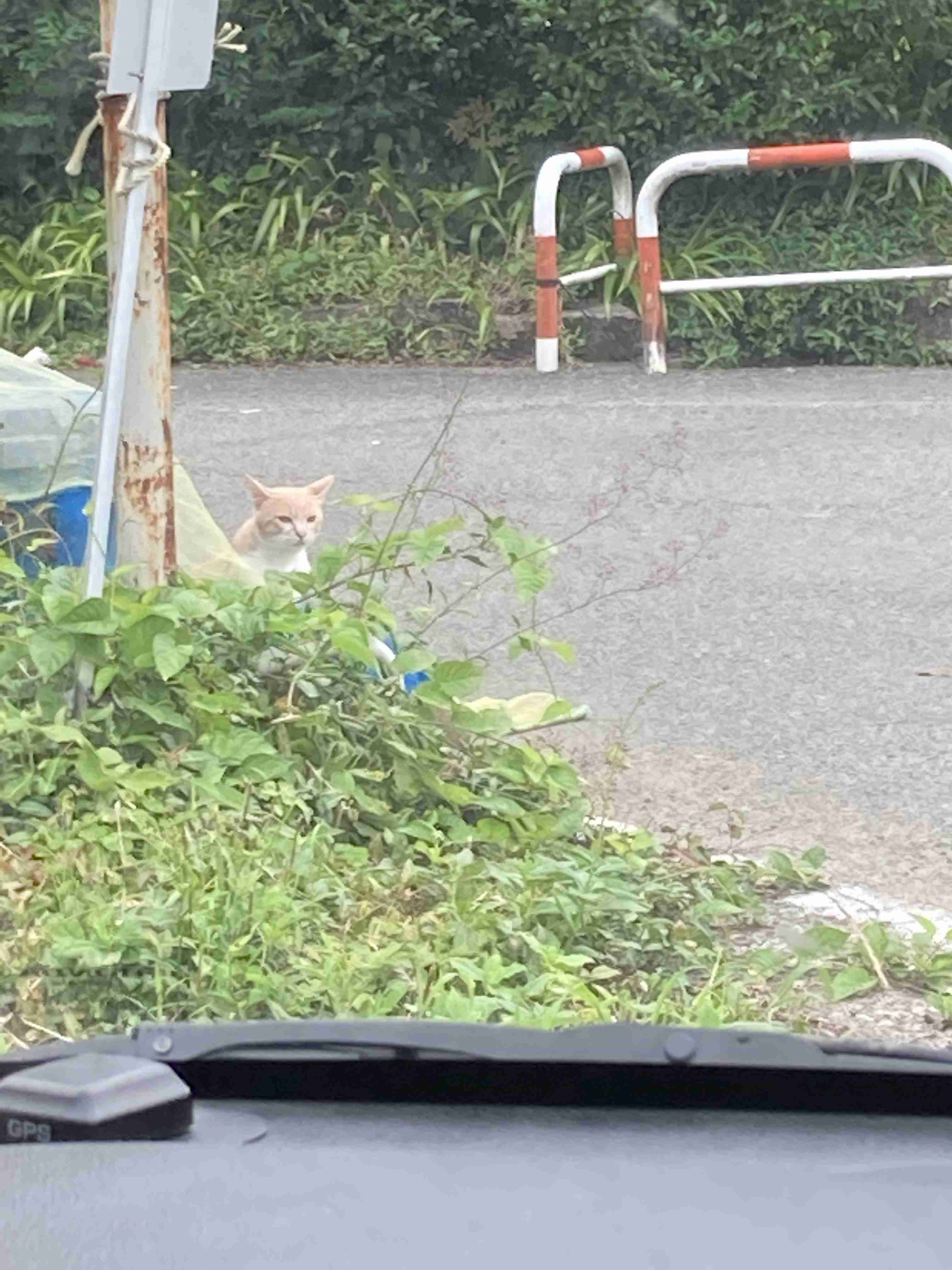 映えない写真選手権part2