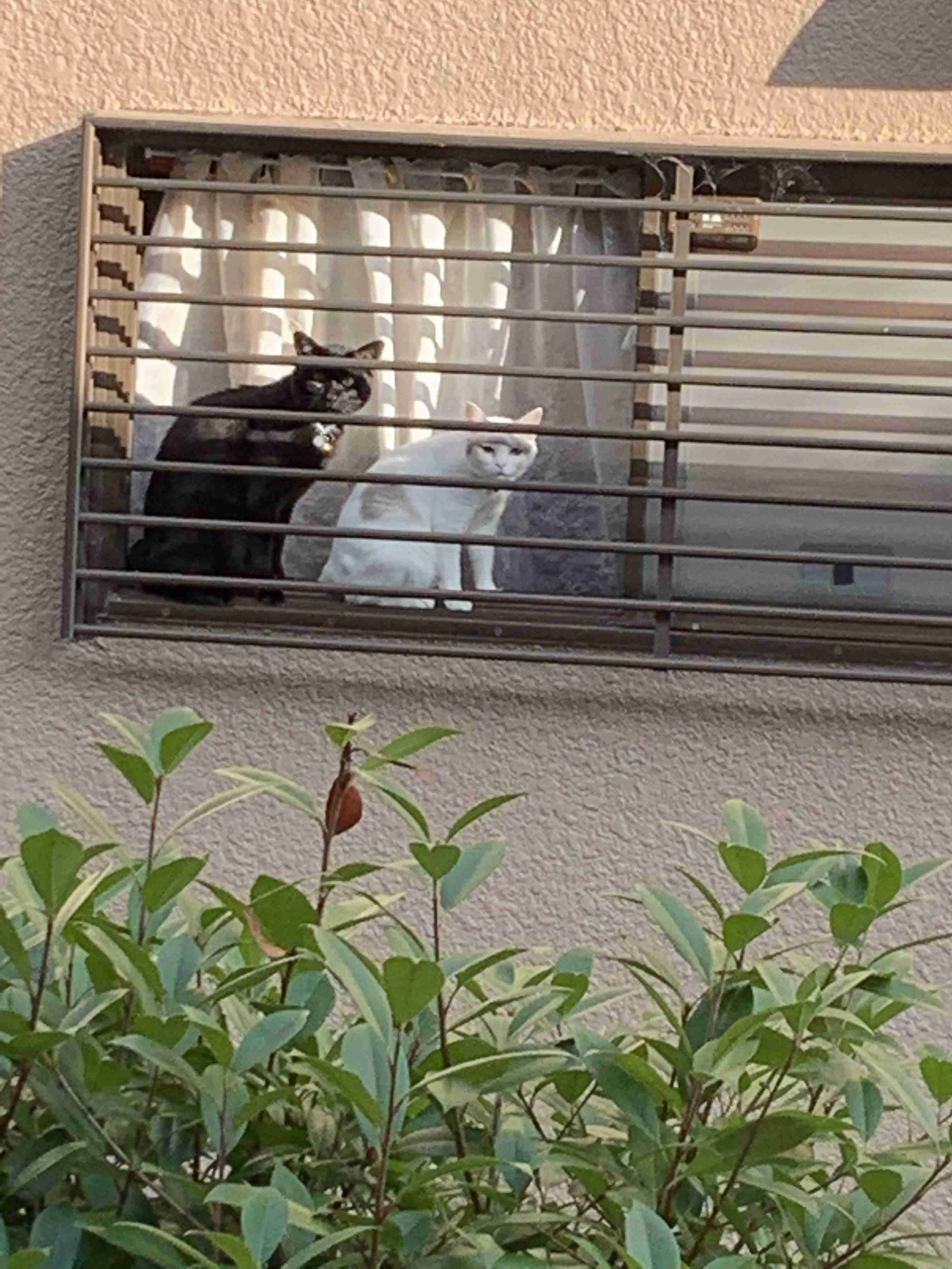 映えない写真選手権part2