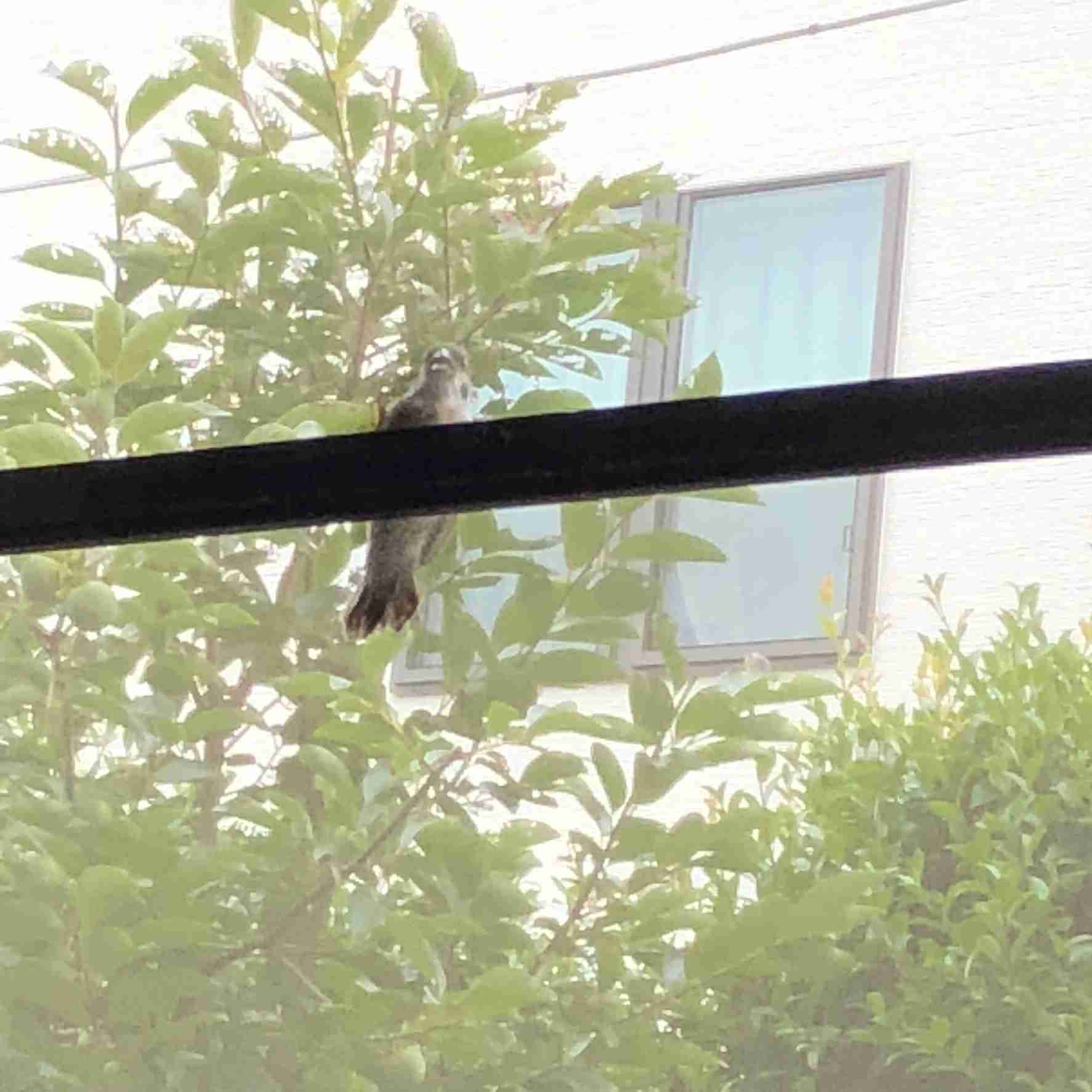 映えない写真選手権part2