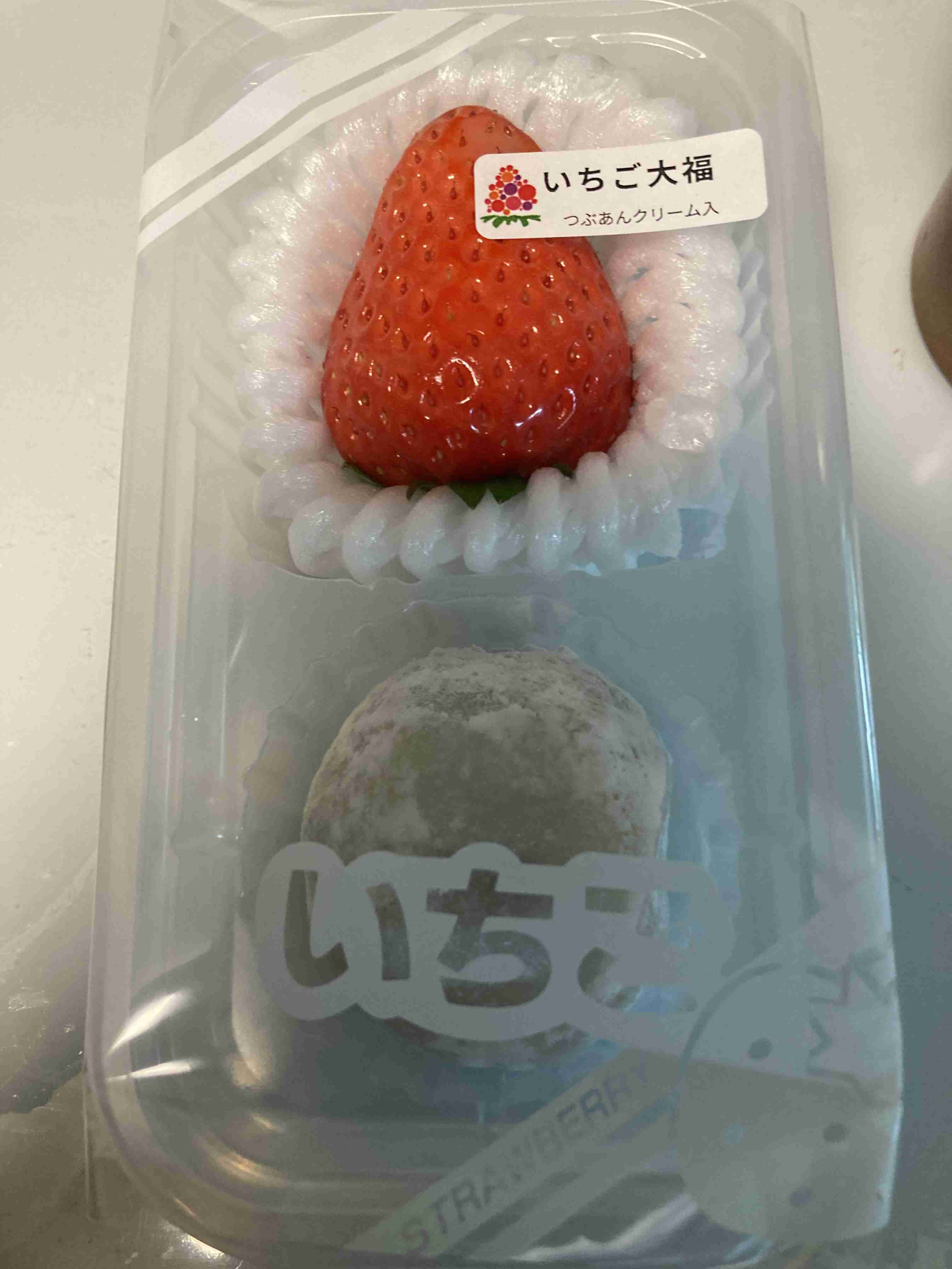映えない写真選手権part2