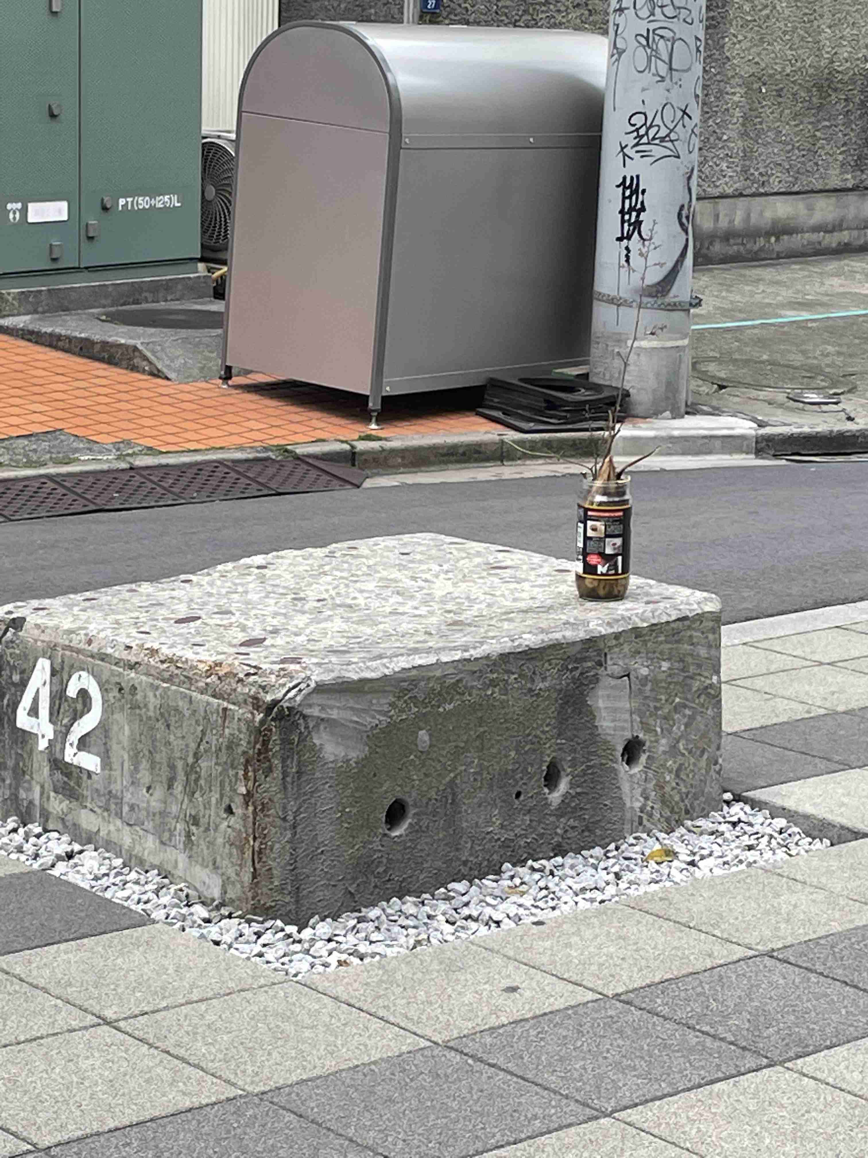 映えない写真選手権part2