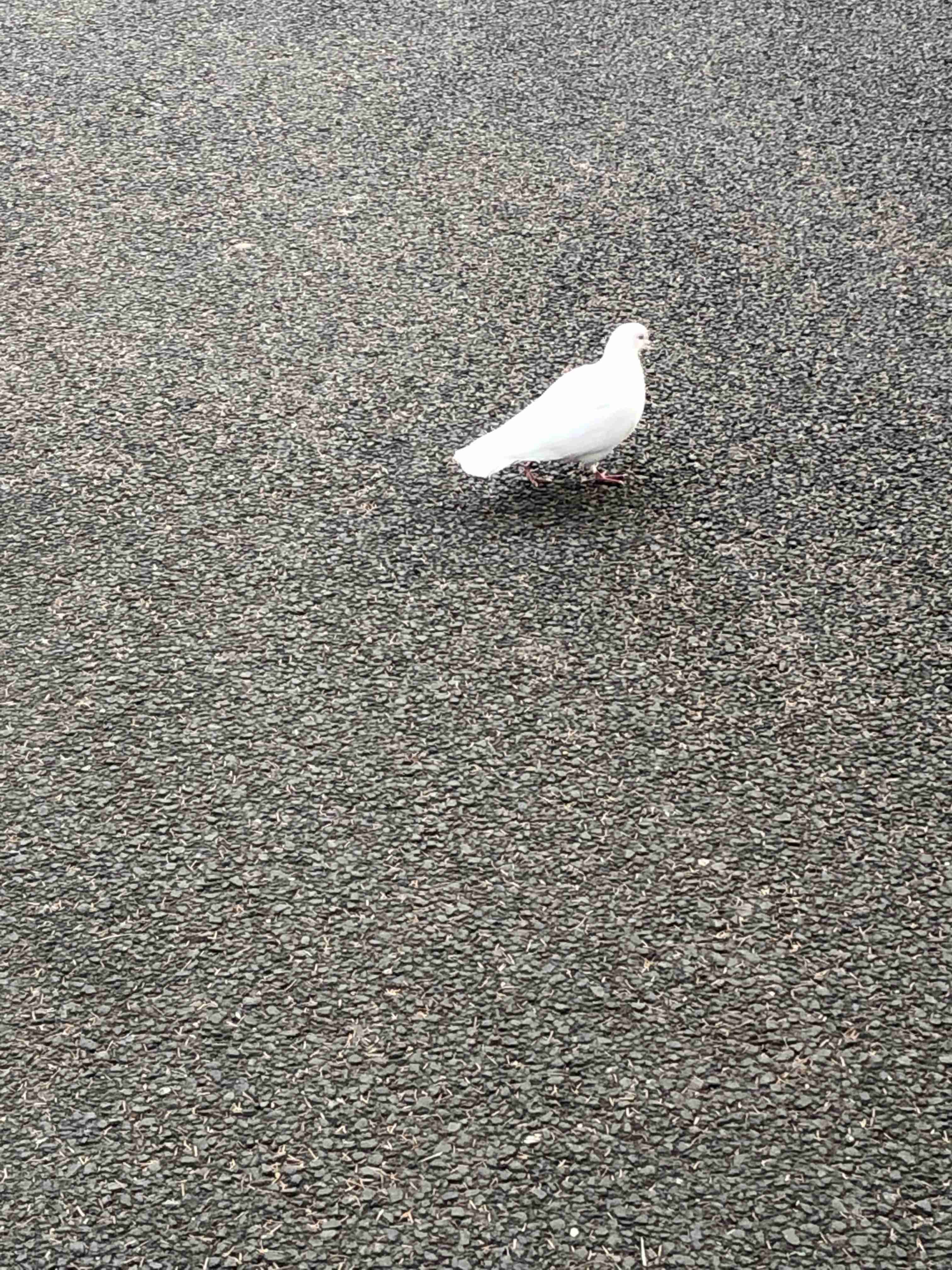 映えない写真選手権part2