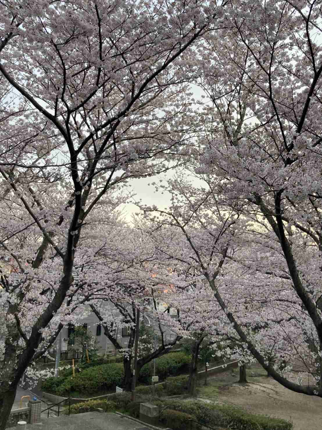 映えない写真選手権part2