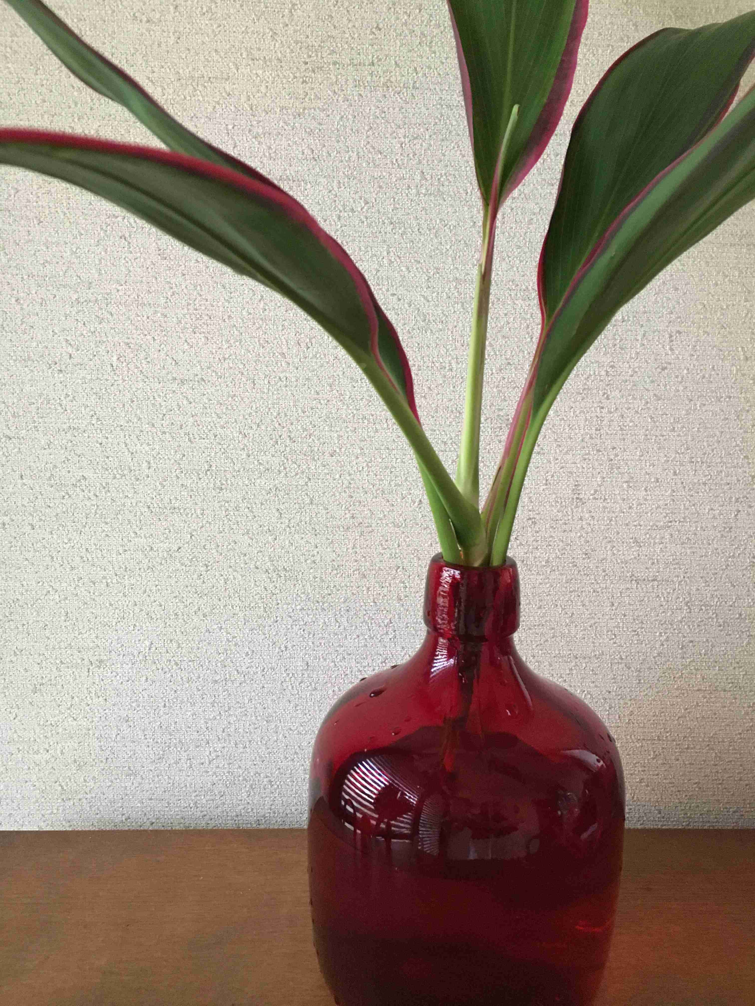 映えない写真選手権part2