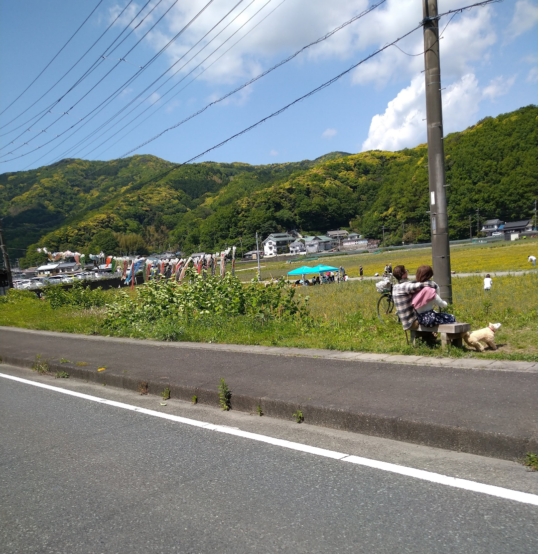 映えない写真選手権part2