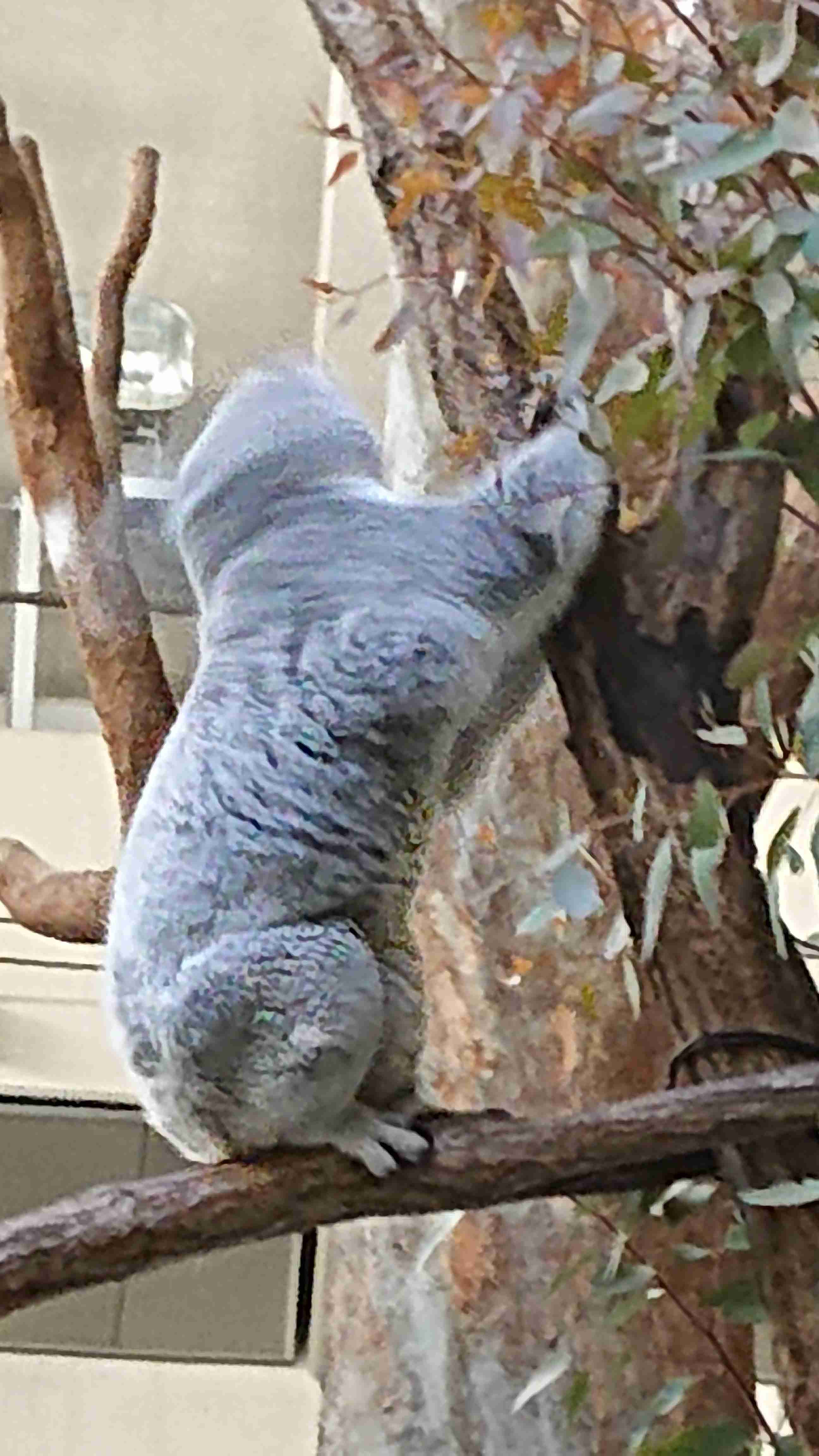 映えない写真選手権part2