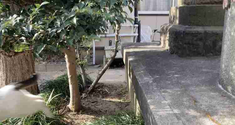 映えない写真選手権part2