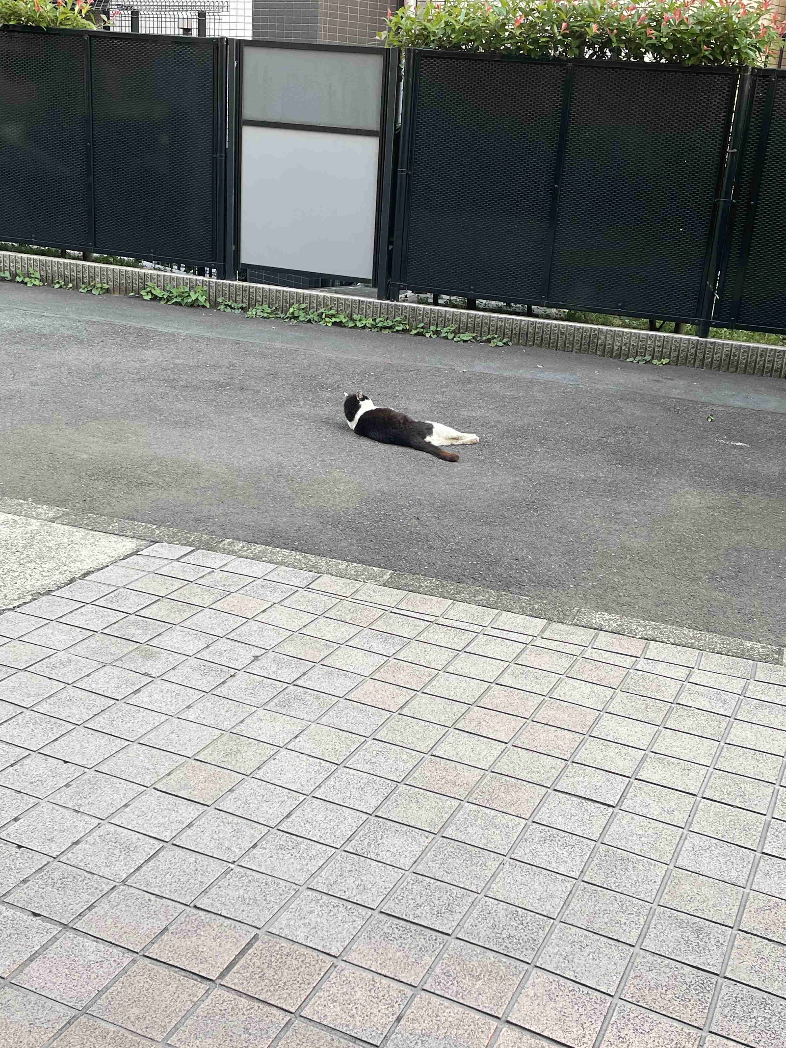 映えない写真選手権part2
