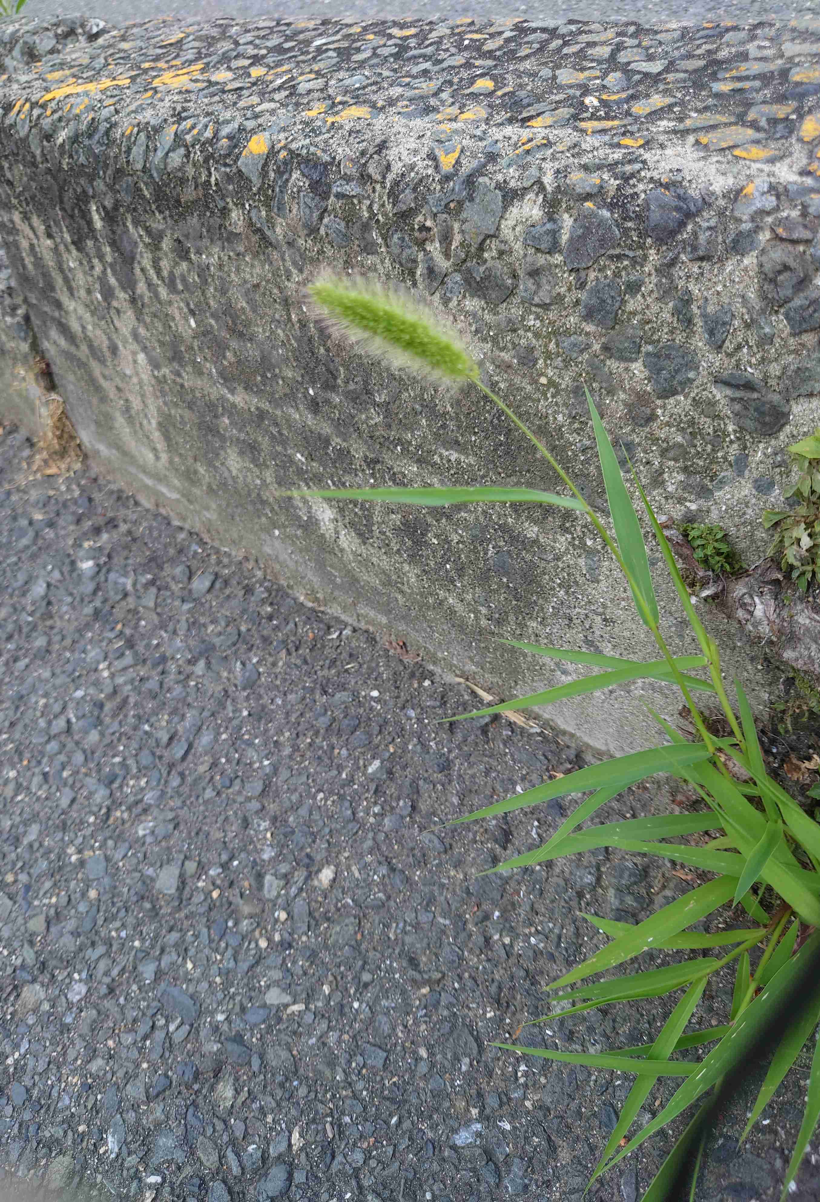 映えない写真選手権part2