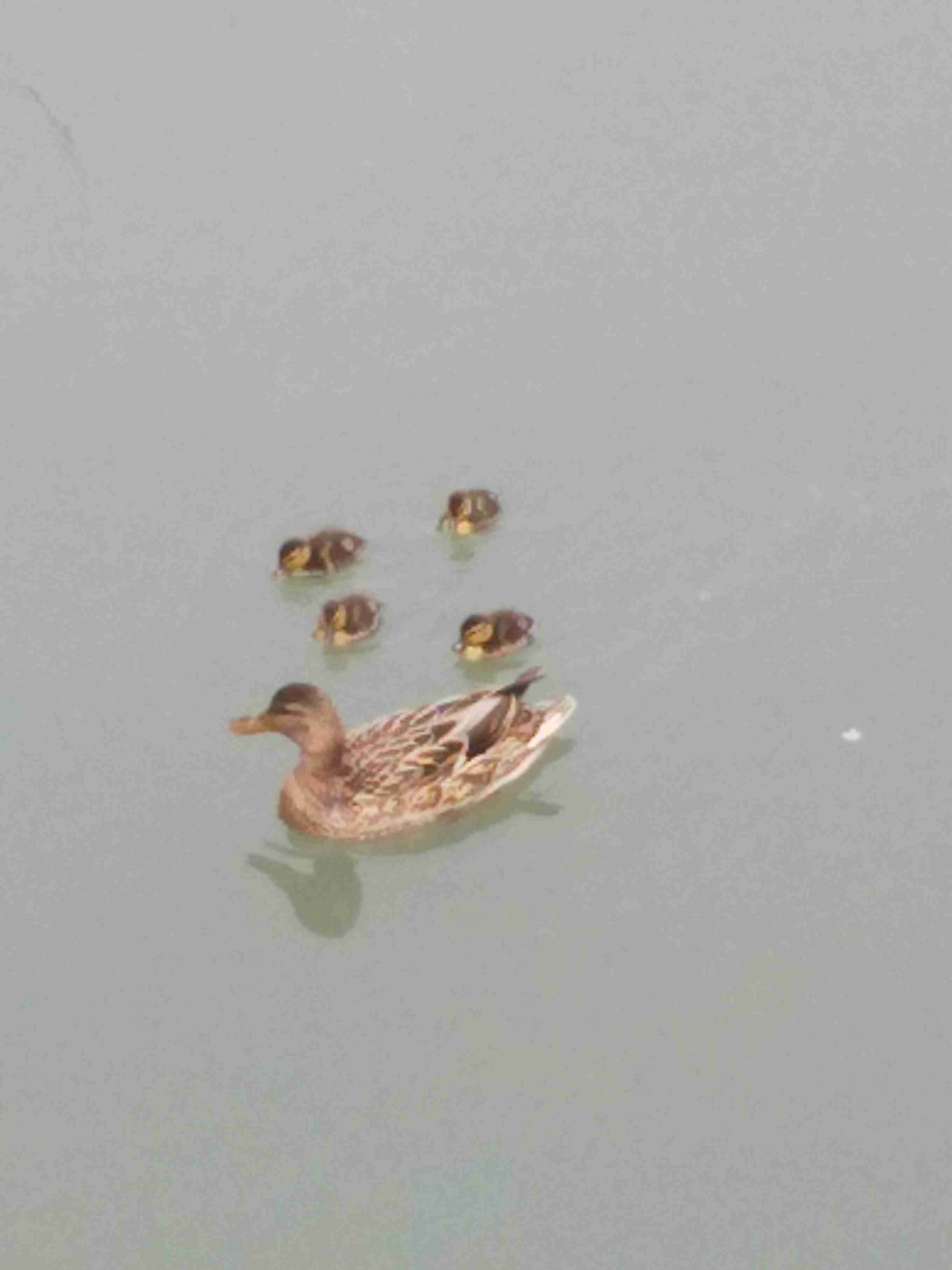 映えない写真選手権part2