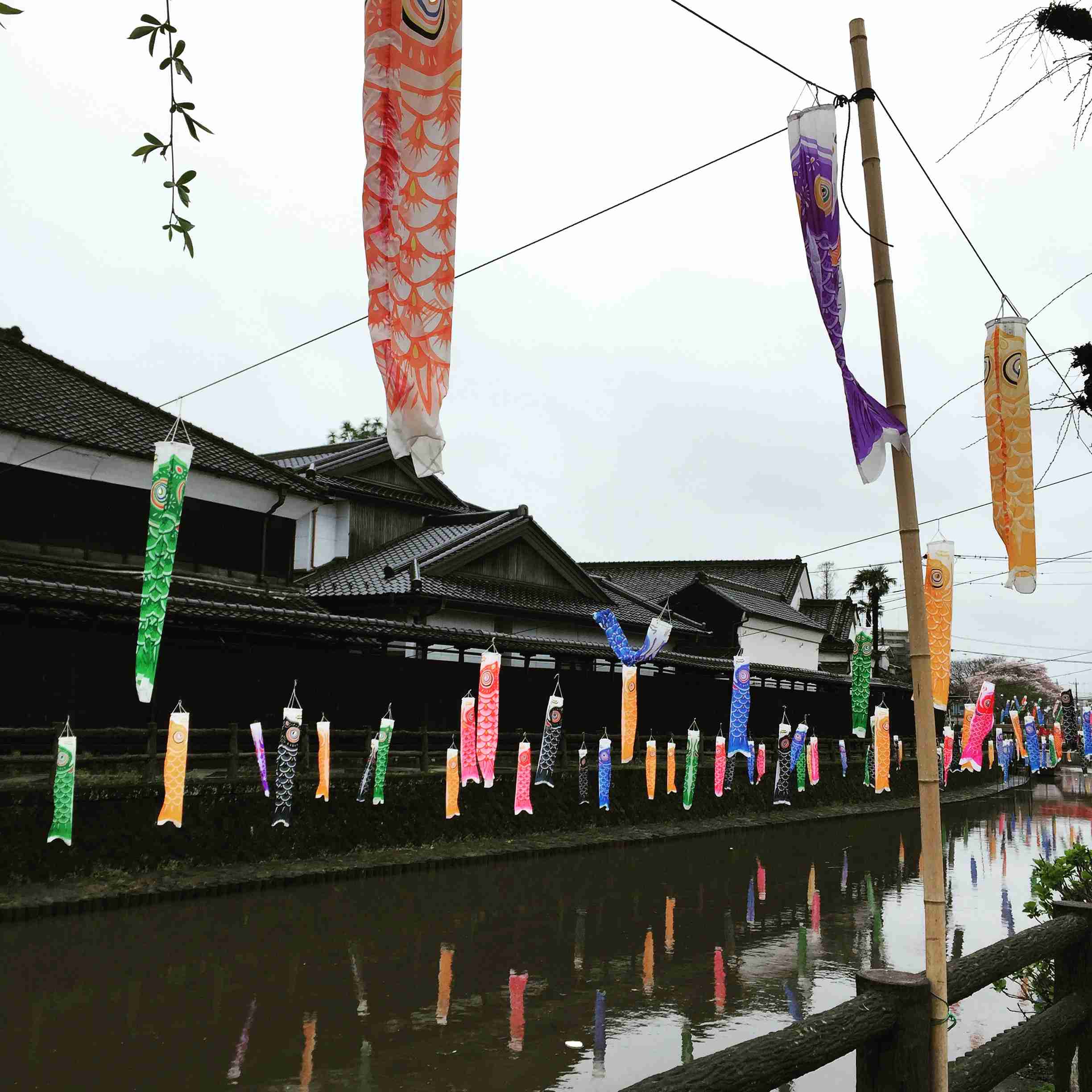 映えない写真選手権part2
