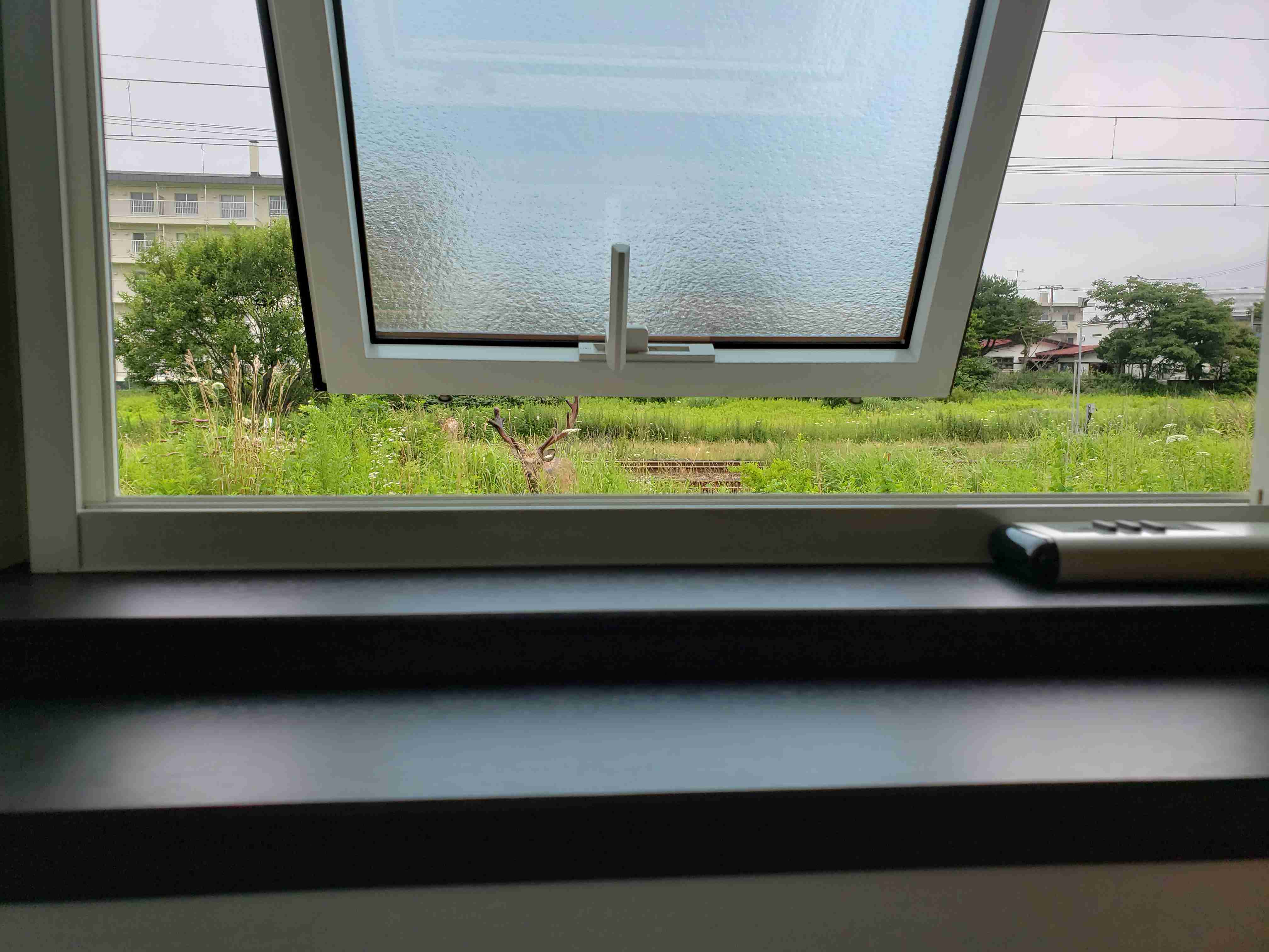 映えない写真選手権part2