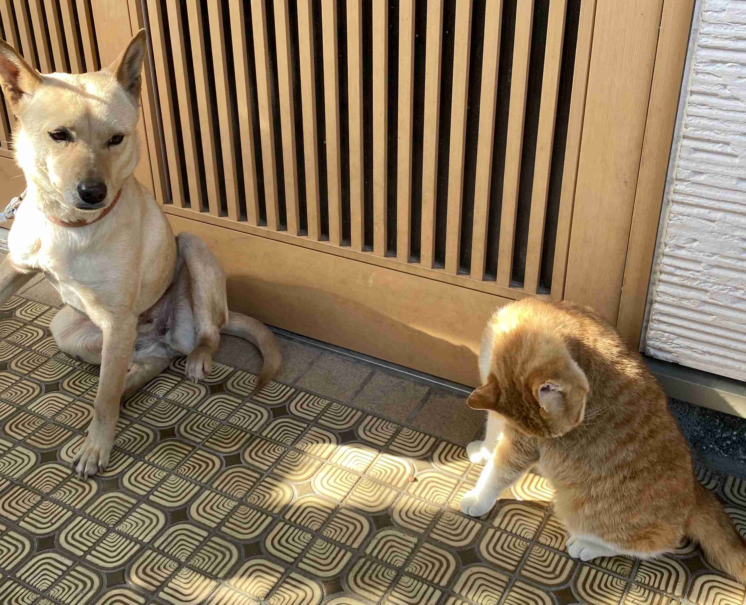 映えない写真選手権part2