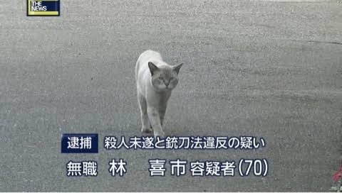 映えない写真選手権part2