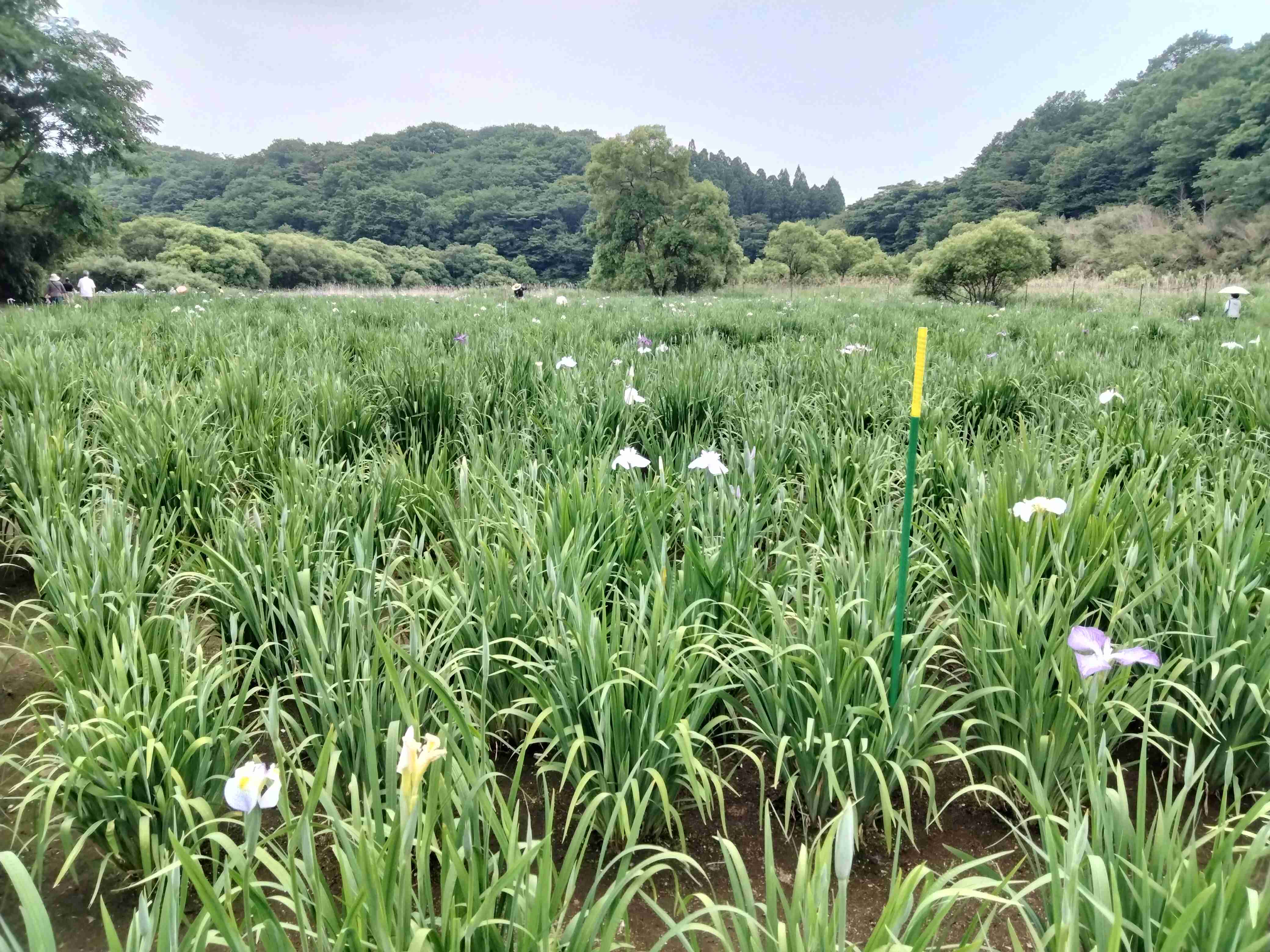 映えない写真選手権part2