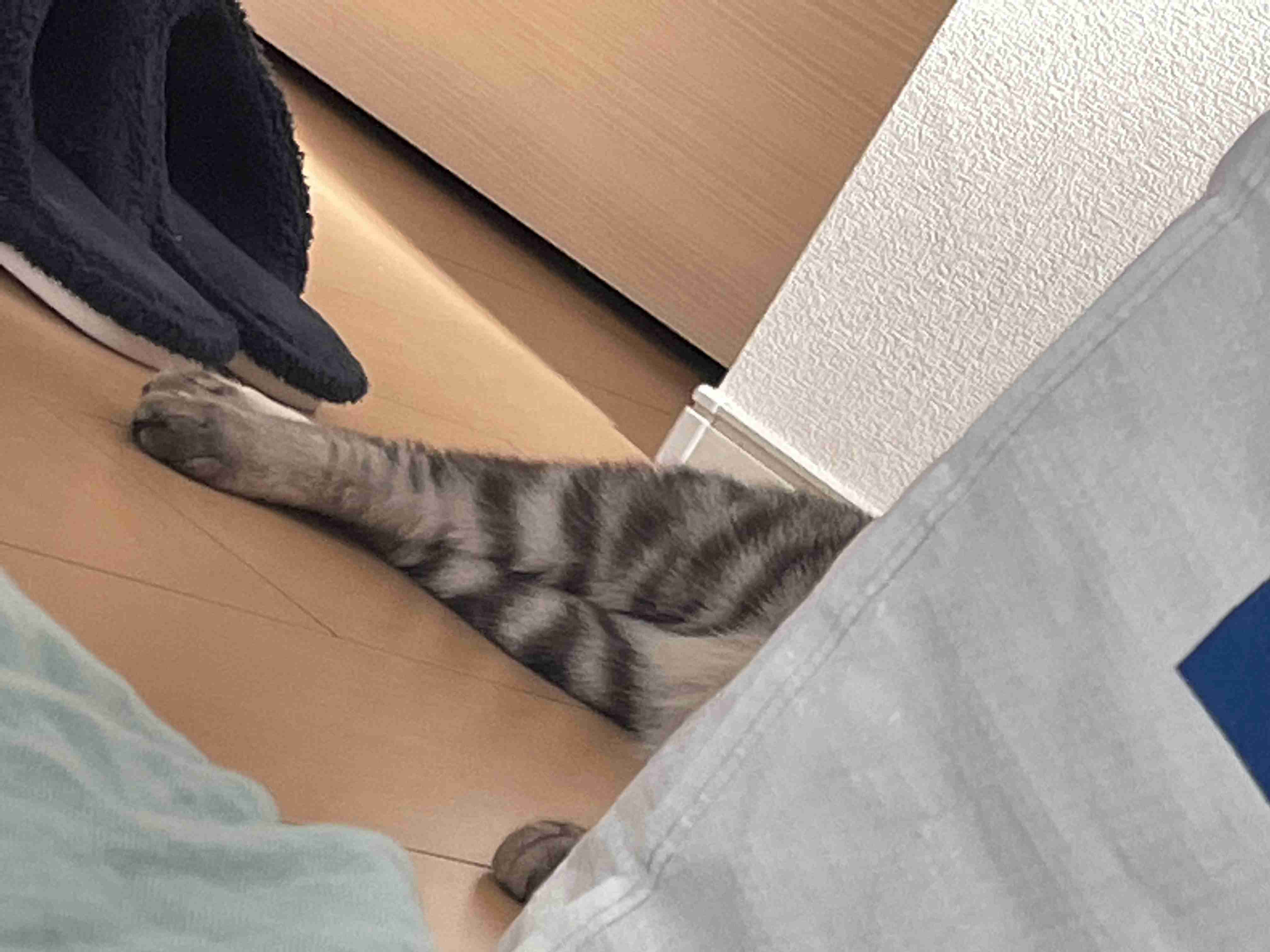 映えない写真選手権part2