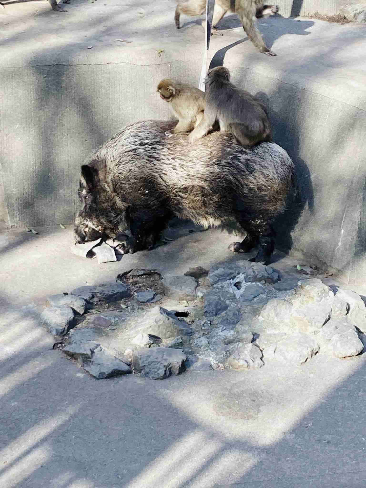 映えない写真選手権part2