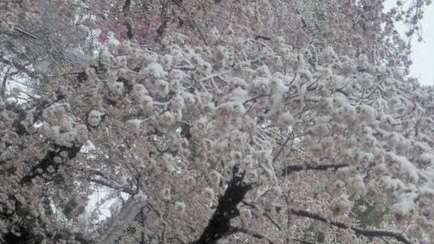 映えない写真選手権part2