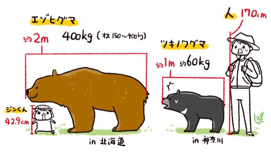 「熊に襲われている人がいる」 10歳前後の男の子と60代男性がけが 仙台市