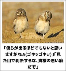 男を見る目がない･男運が悪い人