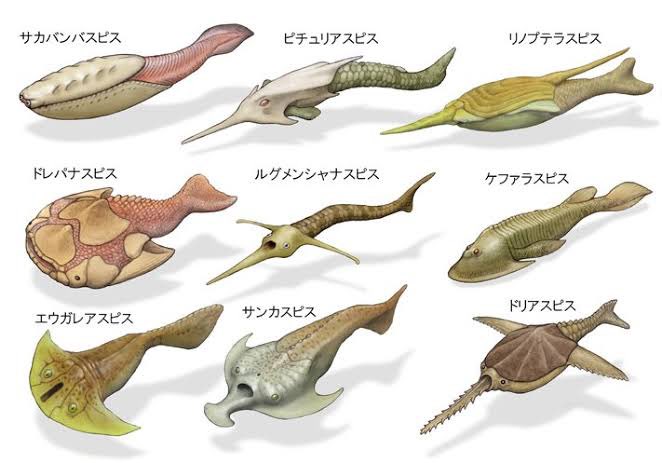 【画像】勉強になる画像が集まるトピ【ジャンル不問】