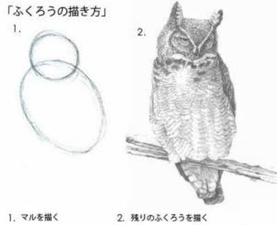 【画像】勉強になる画像が集まるトピ【ジャンル不問】