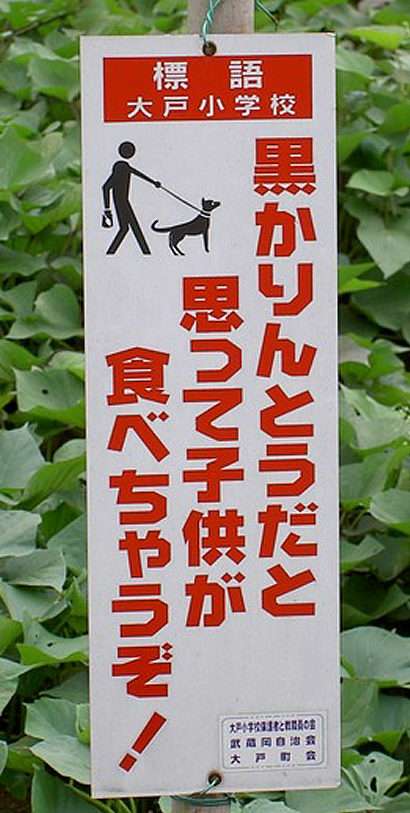 散歩中に飼い犬のフン投棄、女を書類送検「持ち帰るのが面倒」「誰も見ていないから」