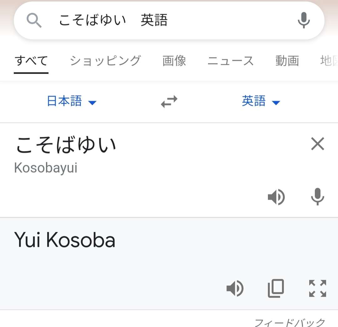Google翻訳選手権part3