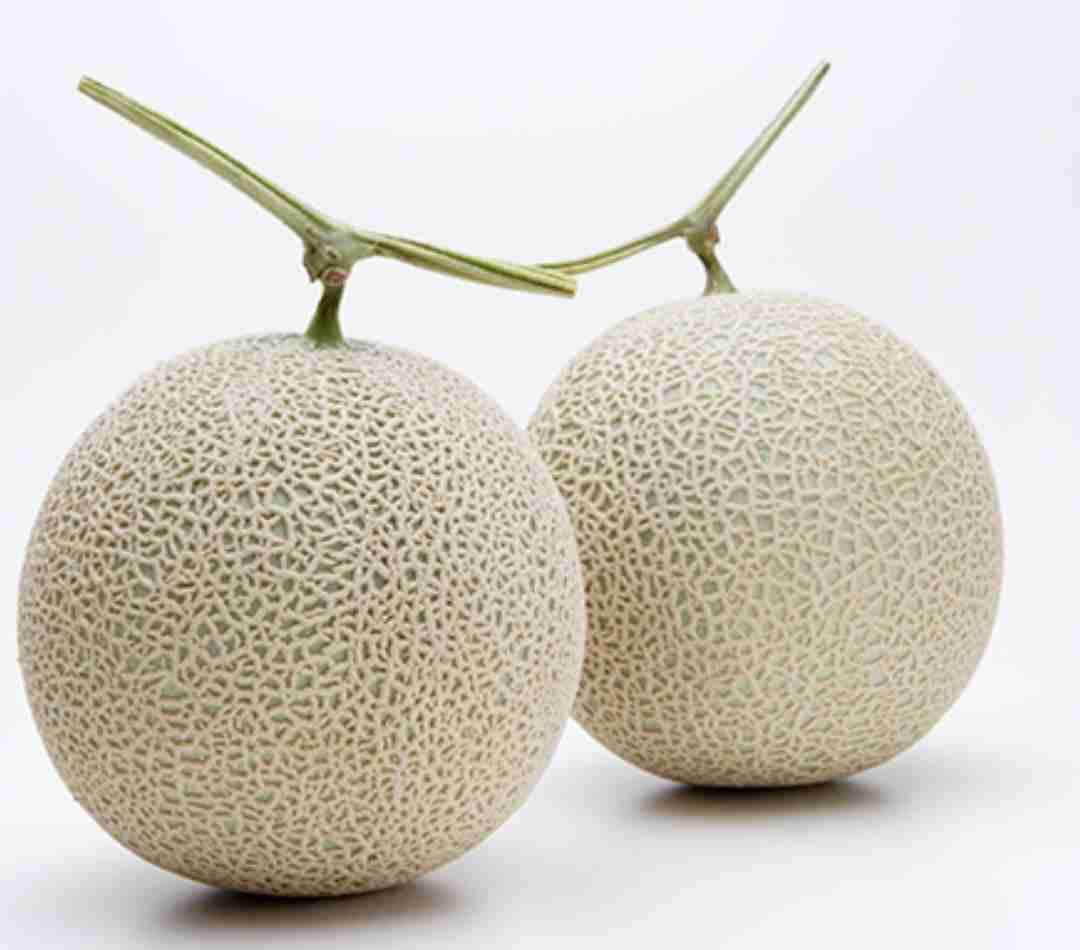 Google翻訳選手権part3