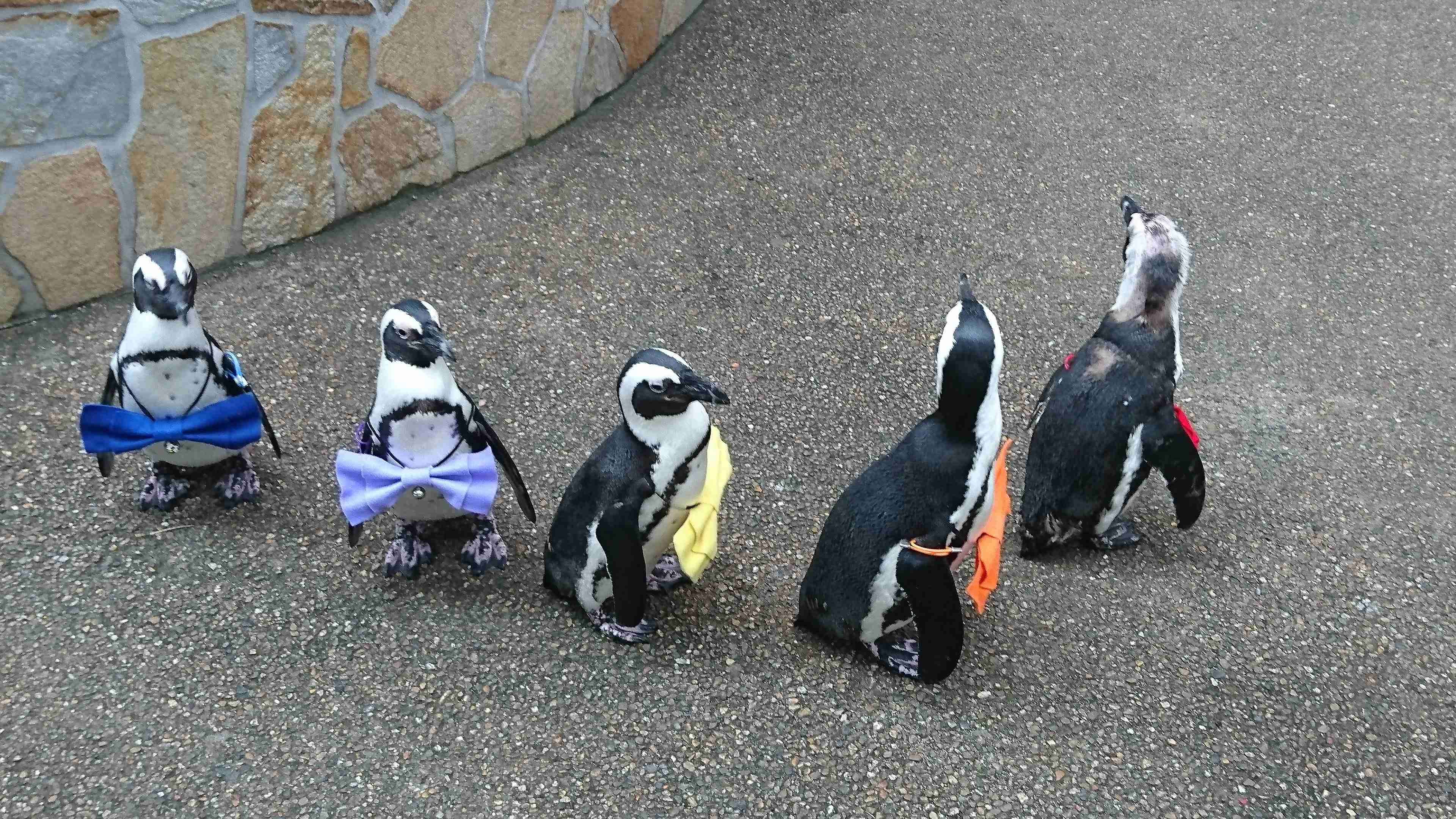 動物園を語るトピ Part2