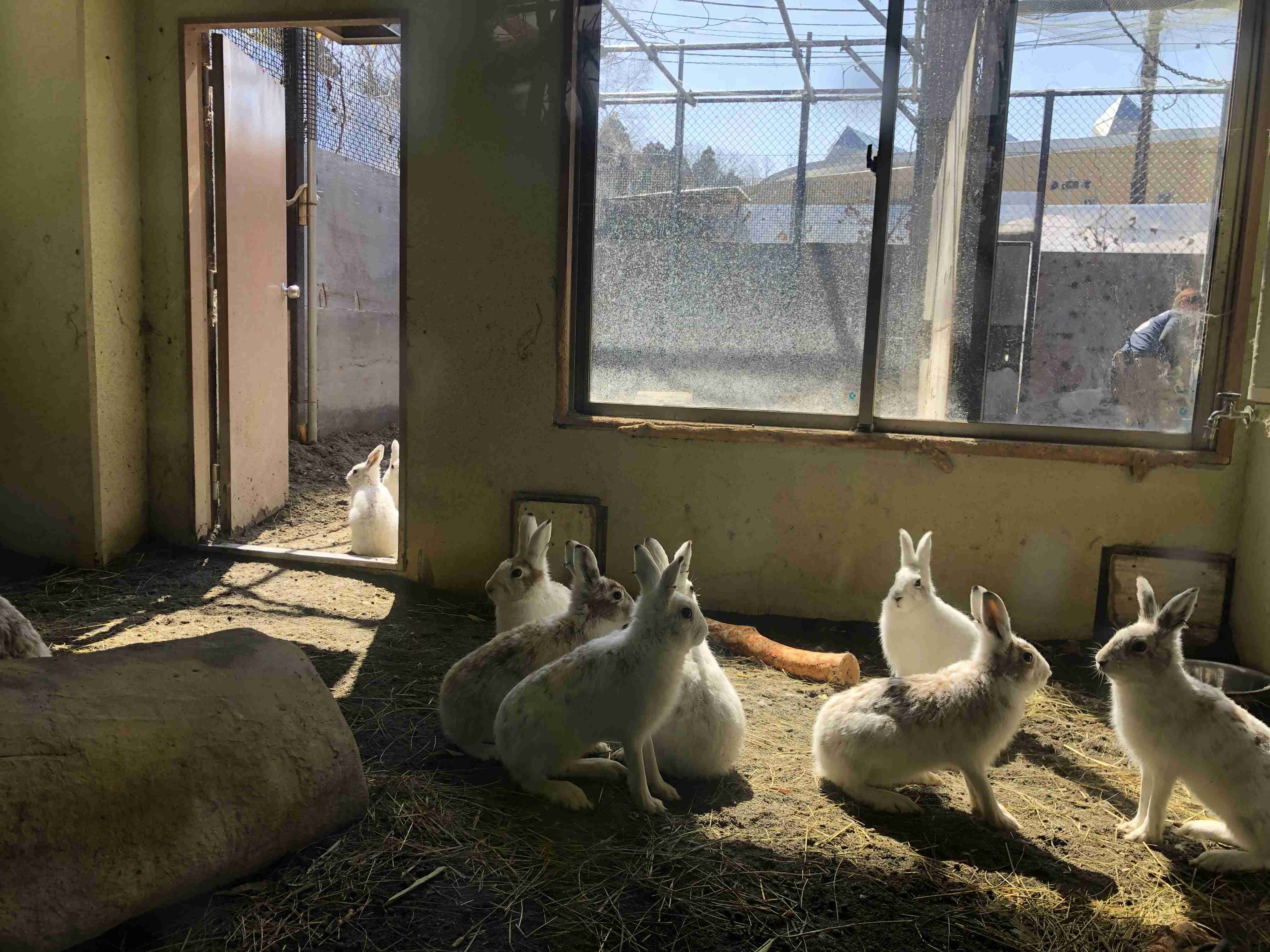 動物園を語るトピ Part2