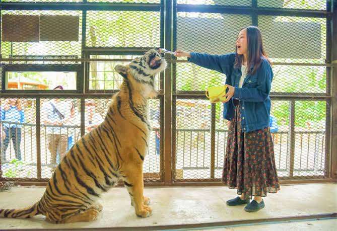 動物園を語るトピ Part2
