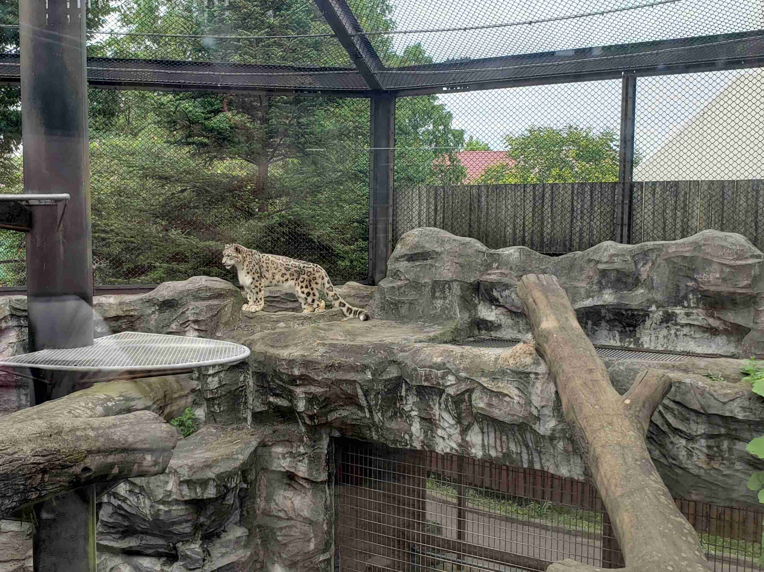 動物園を語るトピ Part2
