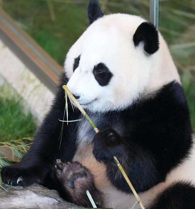動物園を語るトピ Part2